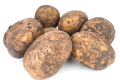 Irish Cobbler Potato