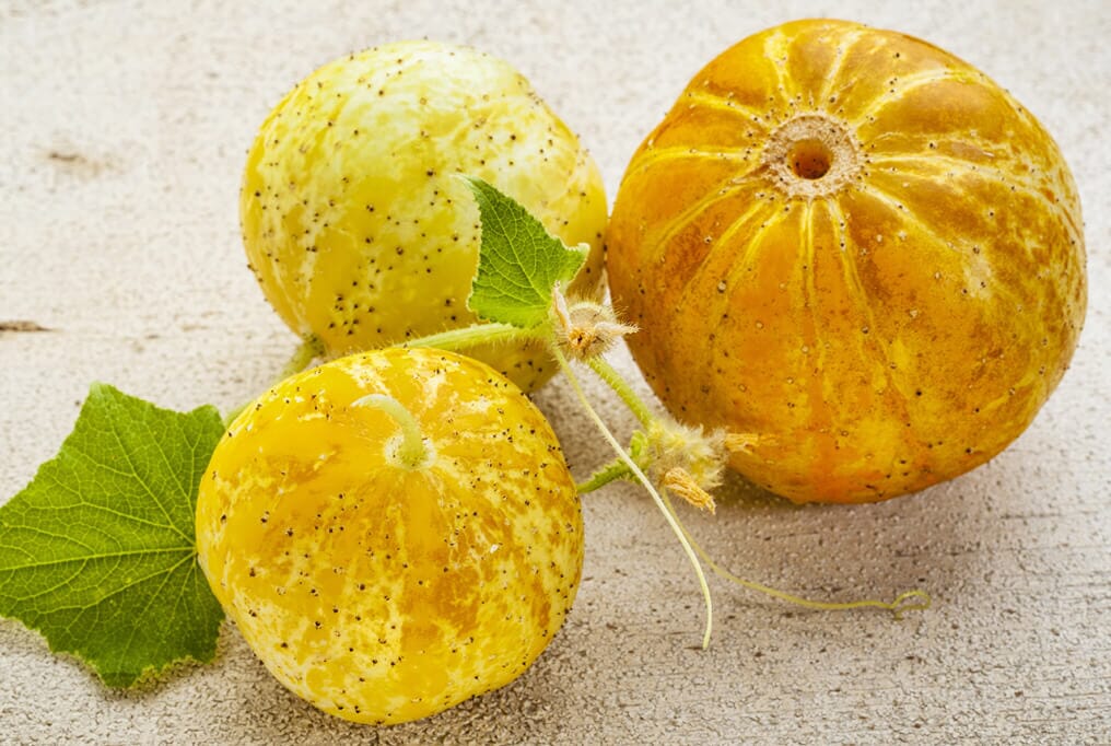 Lemon Cucumber Seeds – Non-GMO Heirloom, Easy Grow, Crisp & Sweet, Home Garden