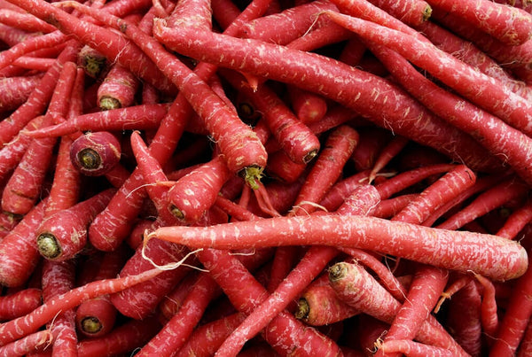 malbec-carrot_grande.jpg?v=