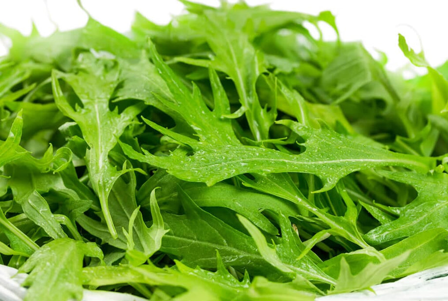 Mizuna Greens – Feathery Japanese Salad Green Seeds | Grow Hoss – HOSS