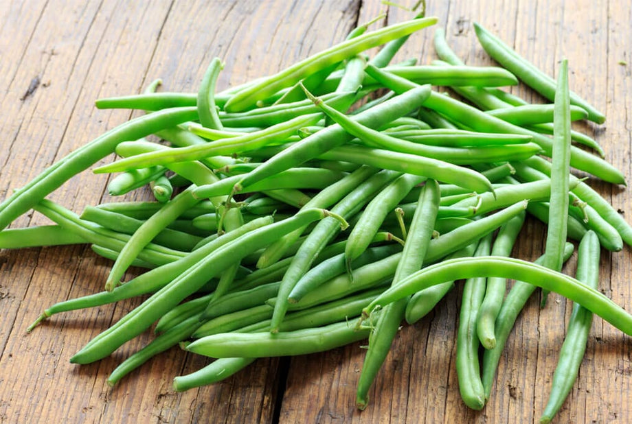 jade bush bean planting Jade Bush Bean – HOSS
