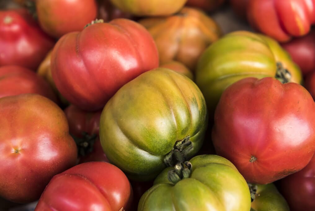 Mortgage Lifter Halladay's Heirloom Tomato Seeds - 25+ Seeds | Pink Beefsteak 1-1.5 Lbs, 80-90 Days