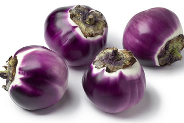 Purple Shine Hybrid Eggplant F1 – HOSS