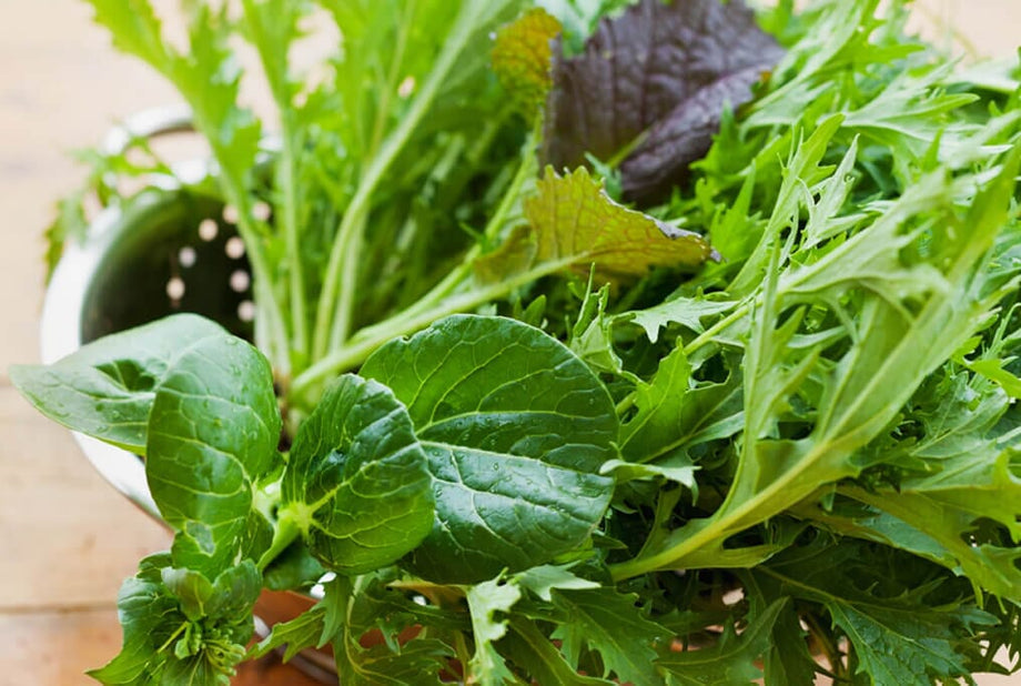 Premium Greens Mix – 6-Variety Asian Salad Mix Seeds | Grow Hoss