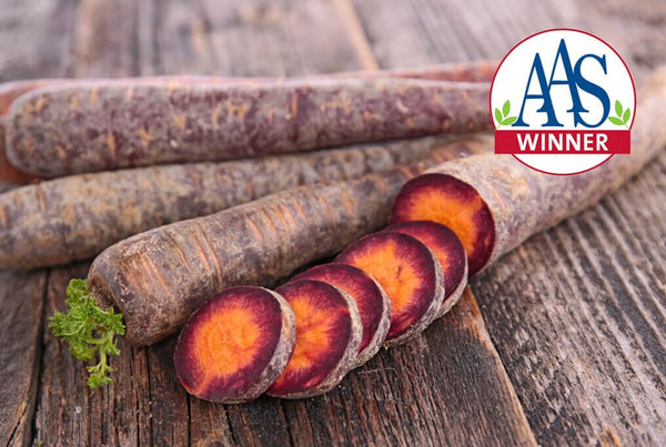 Purple Haze Carrot – HOSS
