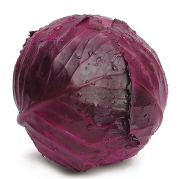 Superstar Hybrid Cabbage F1 – HOSS
