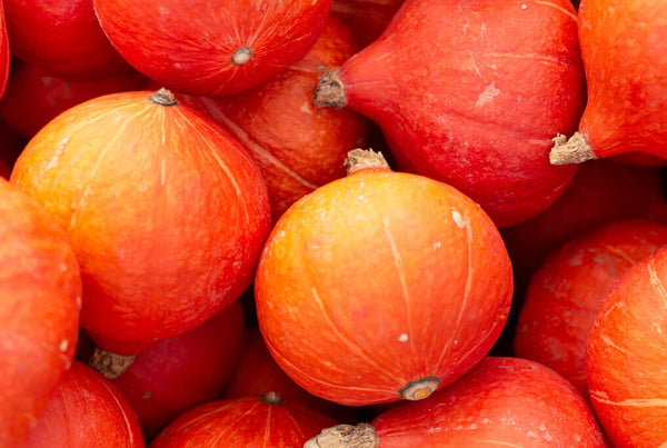 Red Kuri Squash – HOSS