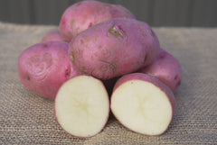 Red Norland Potato