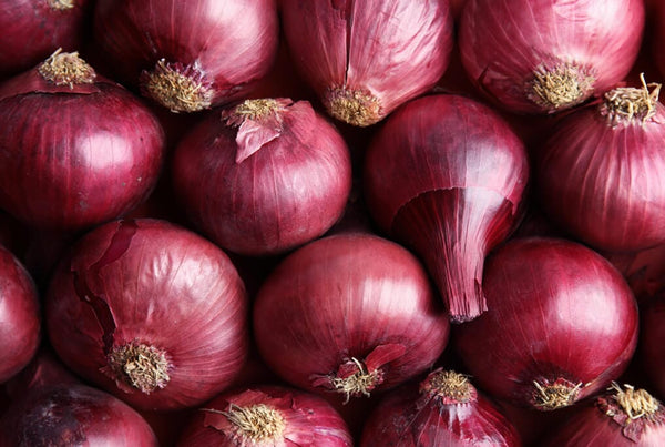 onion2‼️ sofire-onion_grande.jpg?v=