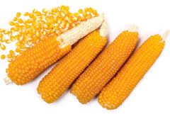 South American Popcorn
