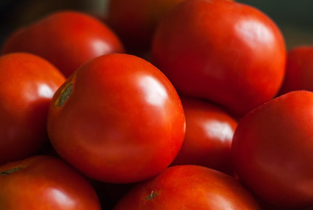 Southern Ripe Tomato