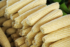 Stowell's Evergreen Sweet Corn