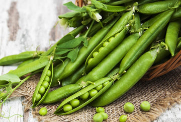 Oregon Sugar Pod Pea – HOSS