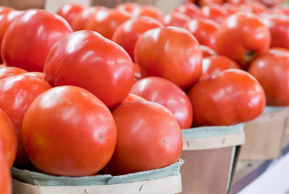 【tomato】 Big Zac Hybrid Tomato - 4
