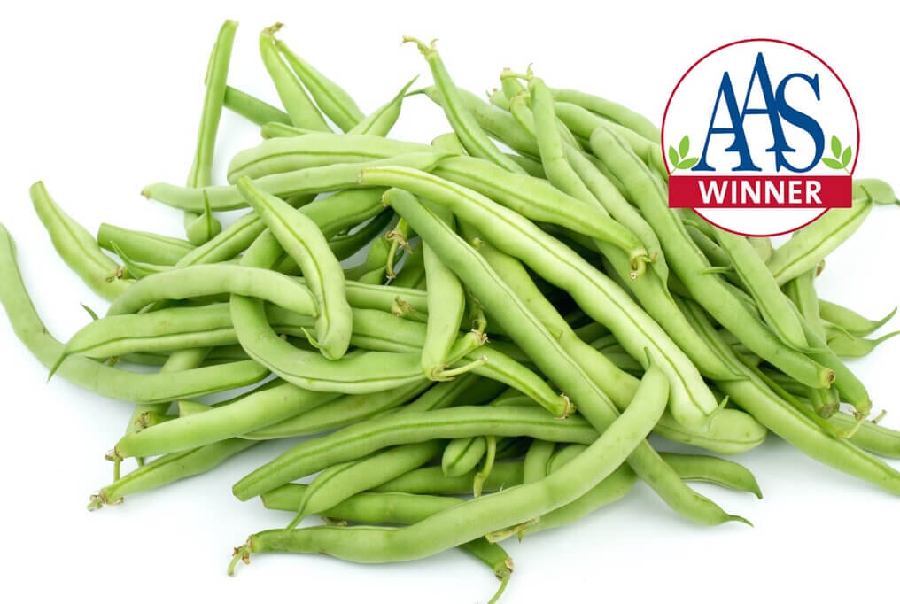 Top Crop Bush Bean