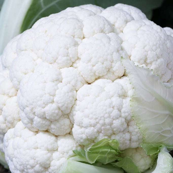 Image of a white head of twister cauliflower with green leave wrapping around the head.