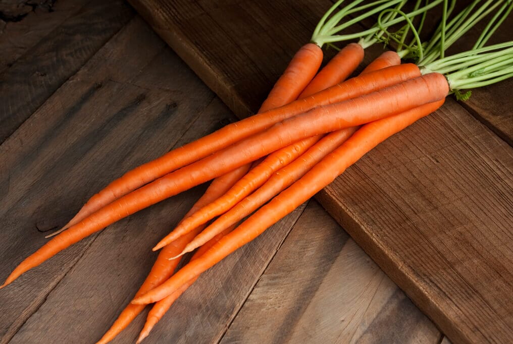 Viper Carrot