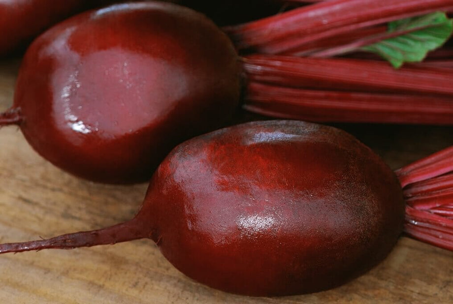 Vulture Hybrid Beet F1 – HOSS