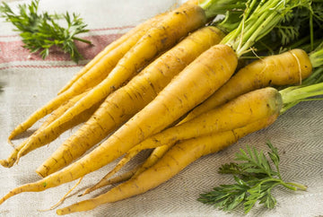 Carrots – HOSS Carrots – HOSS